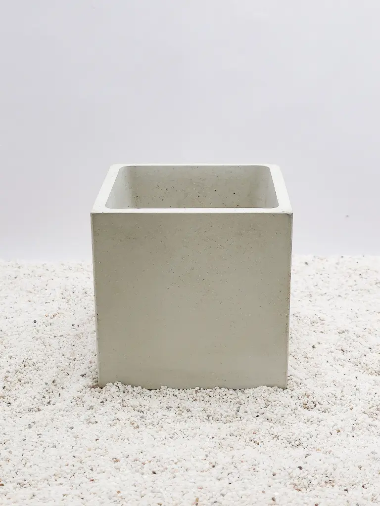 WhatsApp Image 2025-06-11 at 11.47.16 (2).webp