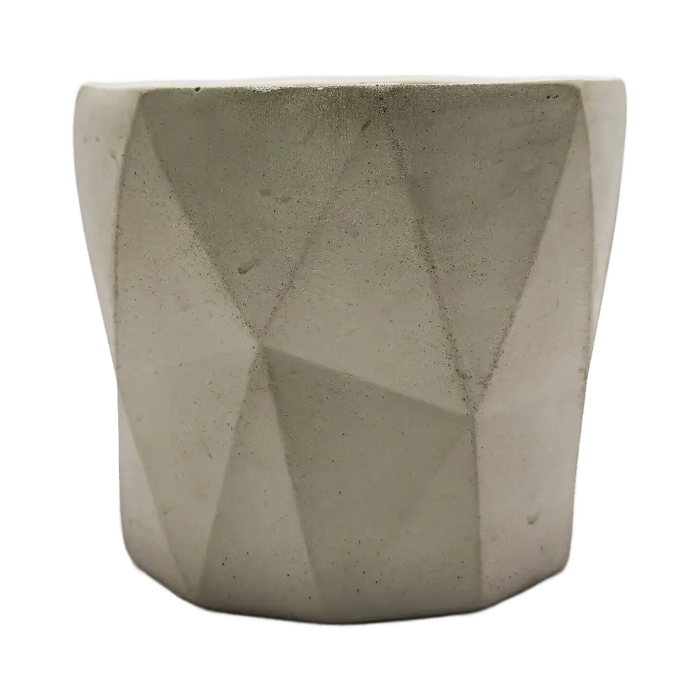XIIB_BLANCA_2.webp