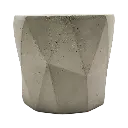 XIIB_BLANCA_2.webp