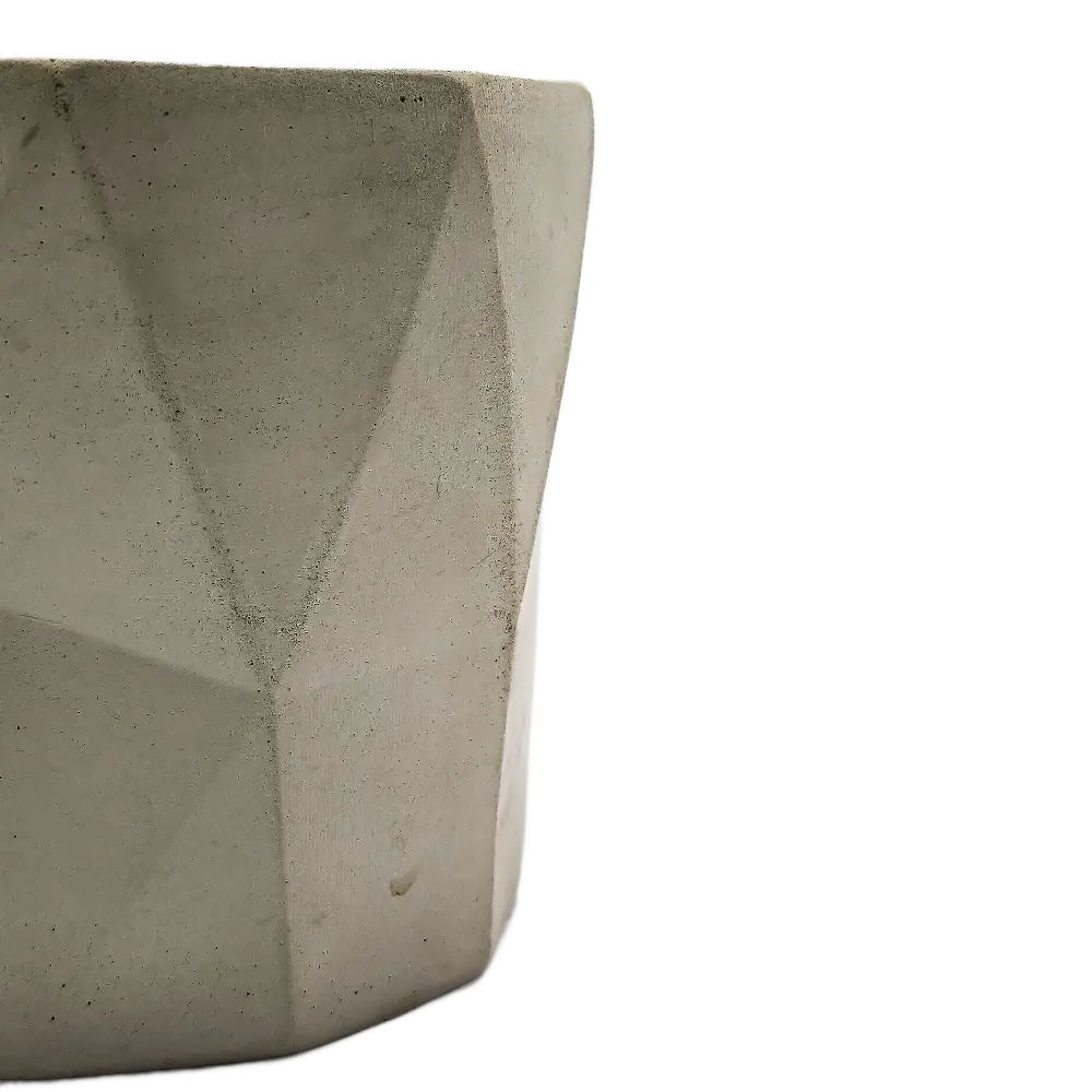 XIIB_BLANCA_3.webp