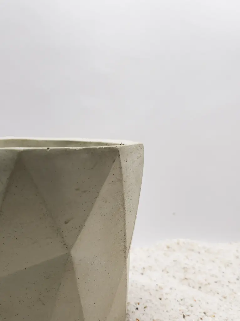 WhatsApp Image 2025-06-12 at 11.21.23 (1).webp